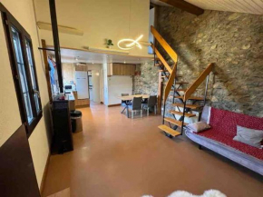 Appartement Duplex entre Genève et Lausanne